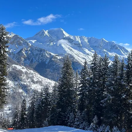 Les Dolomites * La Plagne-Tarentaise